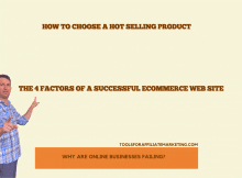 The 4 Factors Of A Successful Ecommerce Web Site
